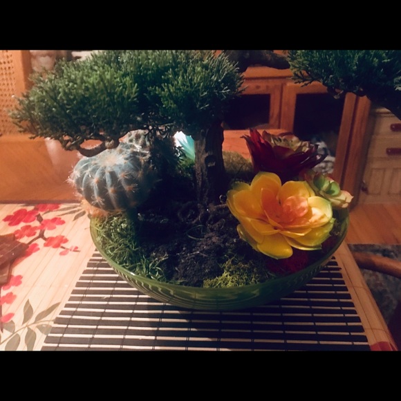 Bonsai Tree arrangement extremely life-like. - Picture 6 of 7